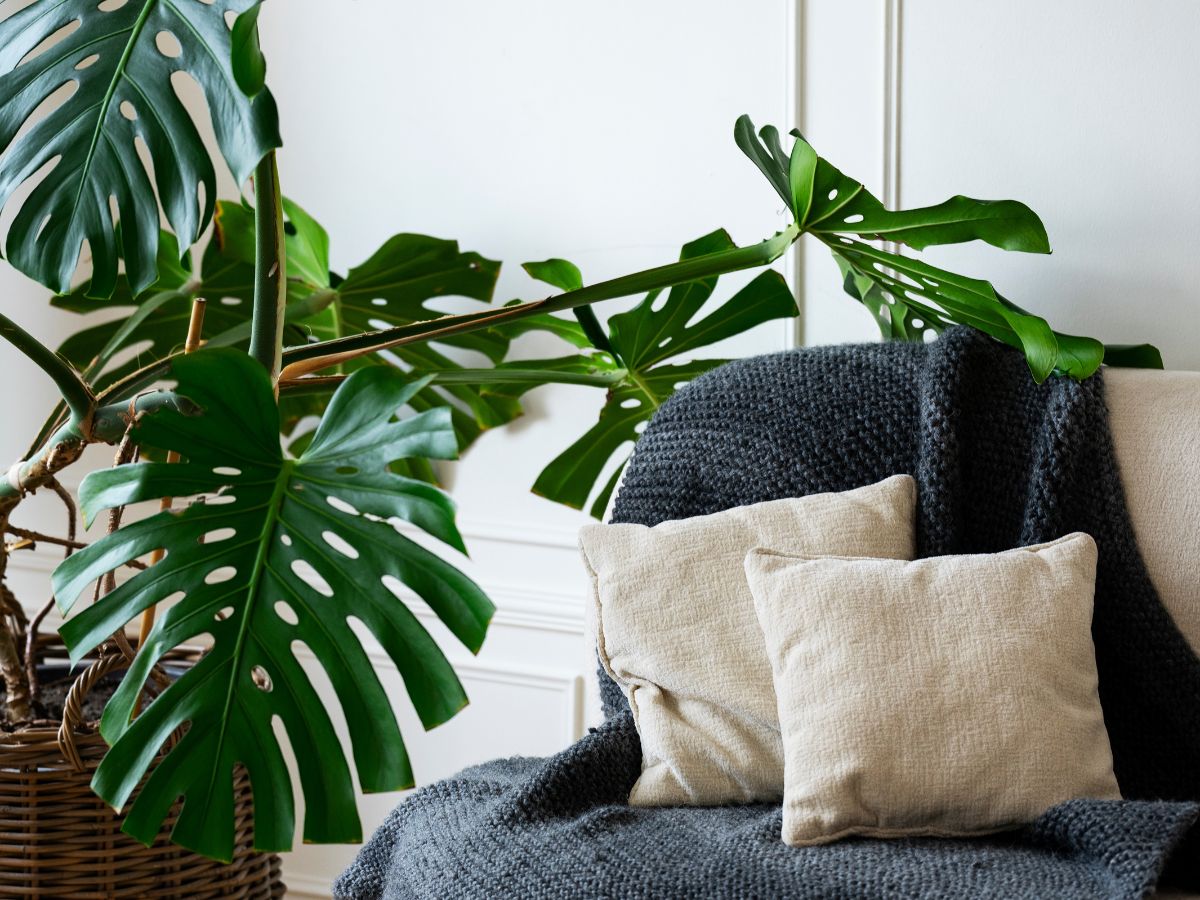 5 Trucos Para Convertir Tu Casa Más Acogedora